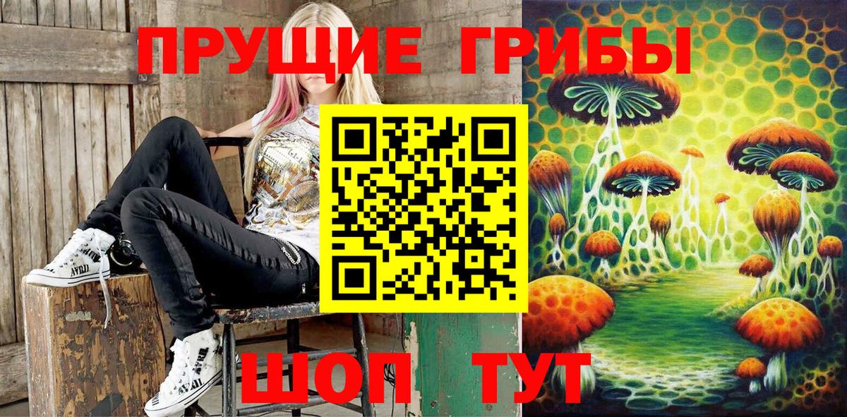 купить наркоту  Псилоцибиновые грибы прущие грибы  Псилоцибиновые грибы ЛСД  Вход с VPN  Сафоново 
